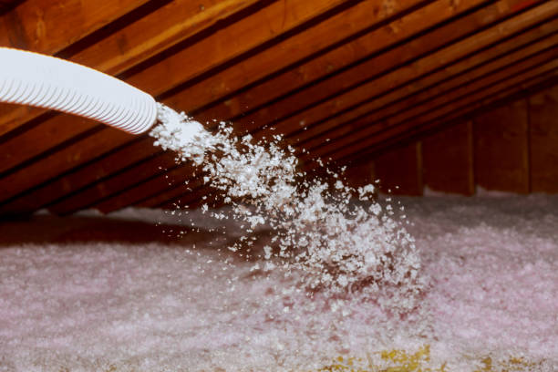 Best Energy-efficient Insulation  in Woodlawn, VA